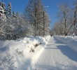 /content/pages/307/images/p1c5lfsq1hmjg4e31dhd4h3rit9.jpg