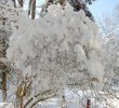 /content/pages/307/images/p1c5lfsq1hpml1vir1npi71n7b25.jpg
