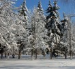 /content/pages/307/images/p1c5lfsq1hv6q46g1n4f1sc11rua3.jpg