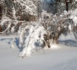 /content/pages/307/images/p1c5lfsq1i16q918001mkm18ot1codg.jpg