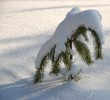 /content/pages/307/images/p1c5lfsq1i42i1im212um14f8181je.jpg