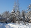 /content/pages/307/images/p1c5lfsq1j1vsiq7t12ijg5hon7q.jpg