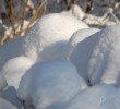/content/pages/307/images/p1c5lfsq1k1kul8pibst1ue319md11.jpg