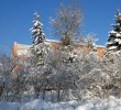 /content/pages/307/images/p1c5lfsq1k1uvs1fs1j4akqcnonv.jpg